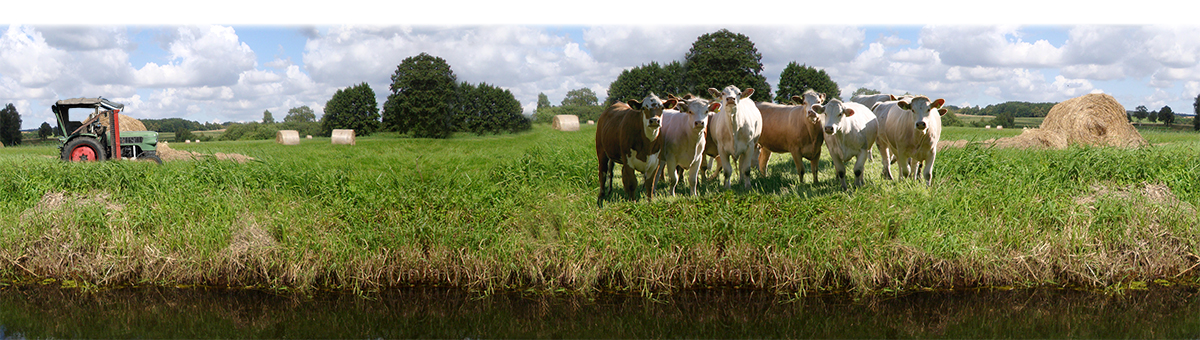 Chair of Agricultural Economics