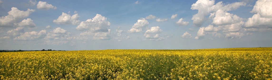 Chair of Agricultural Economics