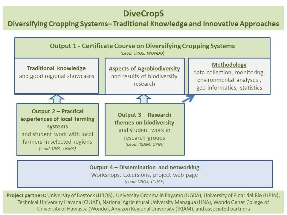 Grafik zu den 4 verschiedenen Output-Bereichen des Projektes