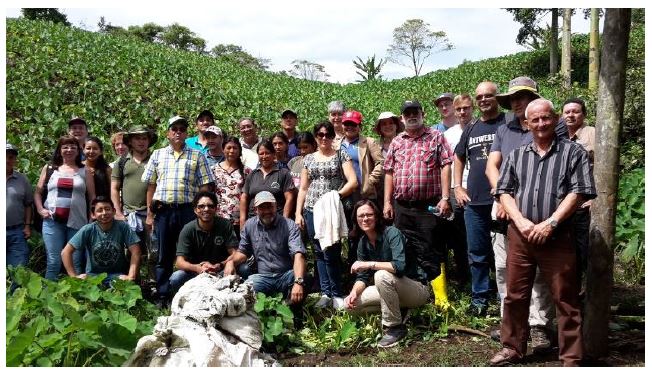 Workshop participants in a field in the sunshine