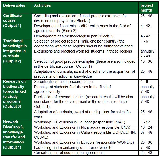 Graphic of the planned activities in the individual time periods