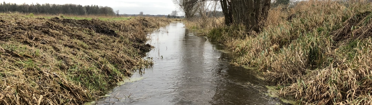 Die Zarnow bei Hochwasser im Herbst