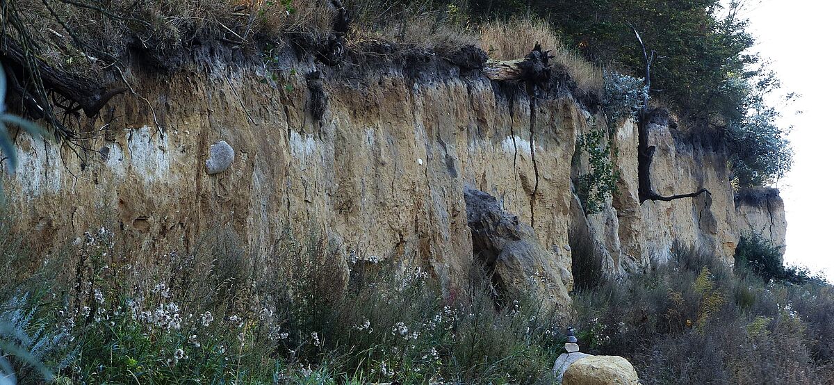 Professur Boden-wissenschaften