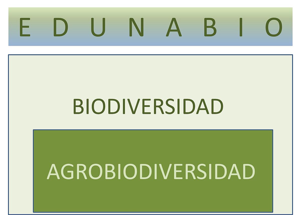 EDUNABIO lettering in capital letters above the words ‘Biodiversidad’ and ‘Agrobiodiversidad’ in various shades of green