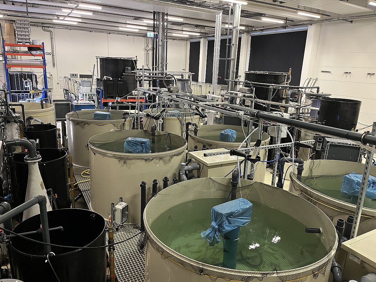 Study visit at the Alfred Wegener Institute, Helmholtz Centre for Polar and Marine Research. © University of Rostock, CS.