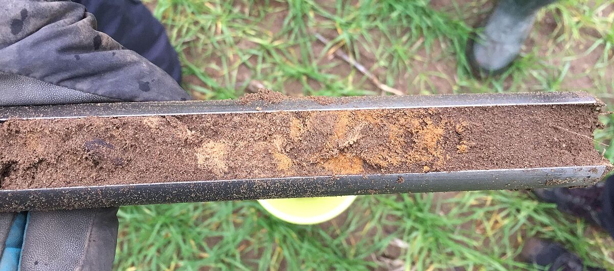 Professur Boden-wissenschaften