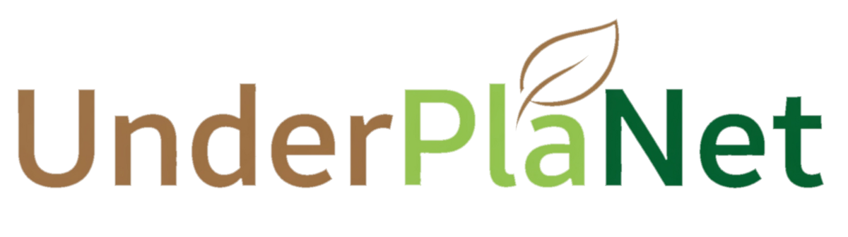 Dreifarbiges Logo Schriftzug Underplanet mit stilisiertem Blatt in der Mitte