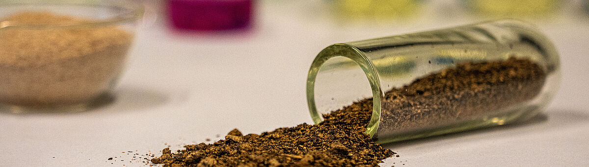 Professur Tier-ernährung und Ernährungs-physiologie