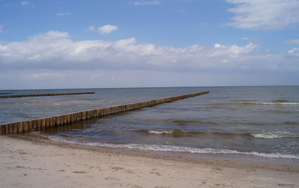 Preise und Auszeichnungen