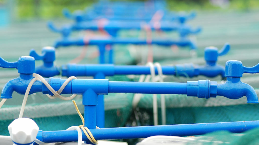 InnoAquaTech Training School Aquaponics