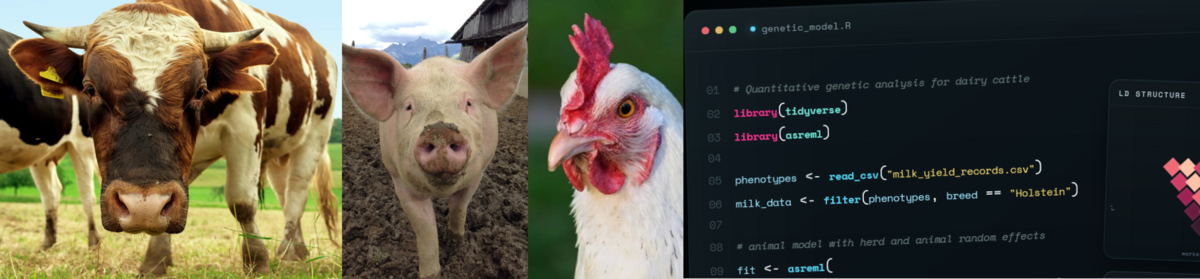 Statistical Methods in Animal Breeding